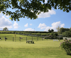 Holiday Cottage Lawn